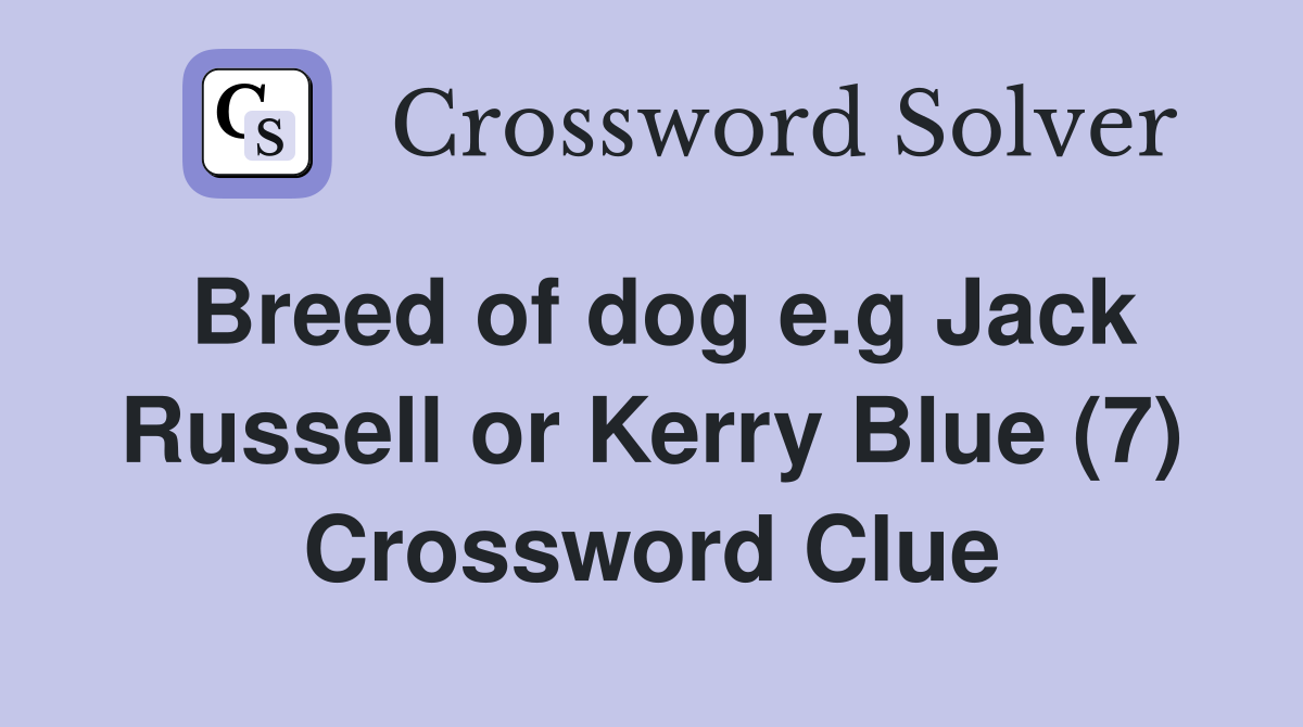 Breed Of Dog E.g Jack Russell Or Kerry Blue (7) - Crossword Clue ...